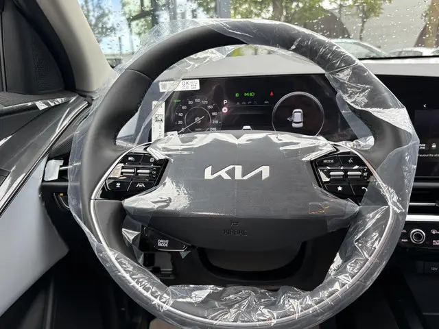Kia Niro AIR 2025 Elektrisch 13