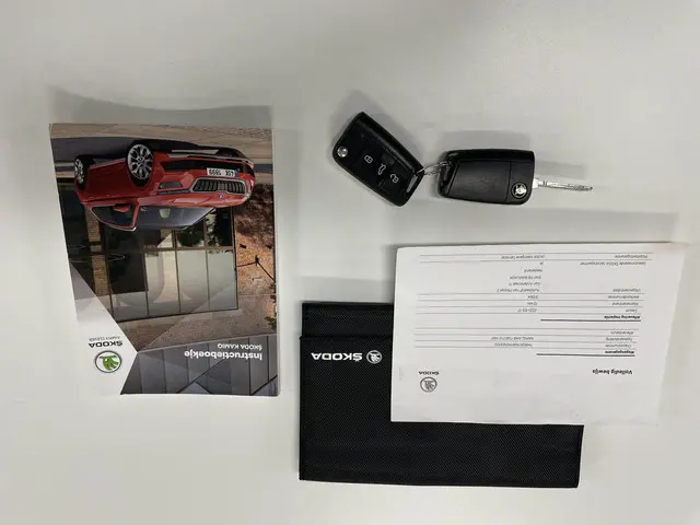 Škoda Kamiq 1.0 TSI 110 pk Ambition 2021 Benzine 14