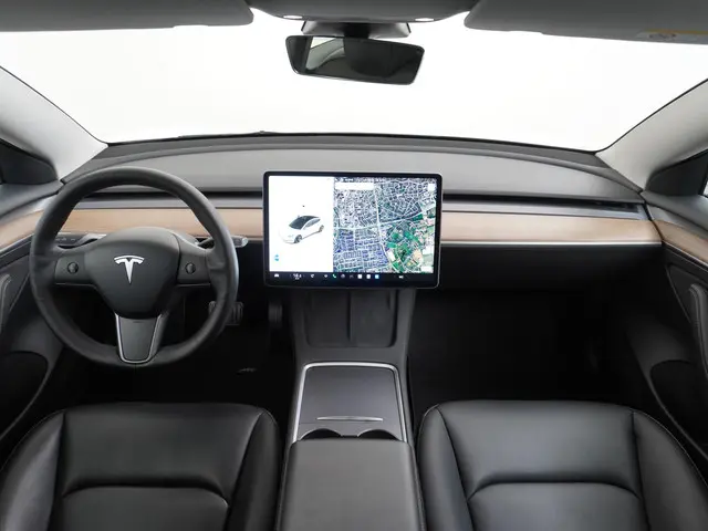 Tesla Model 3 Standard RWD Plus 60 kWh 2021 Elektrisch 24
