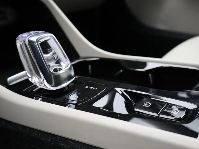 Volvo XC40 2.0 T4 Inscription 2019 Benzine 17