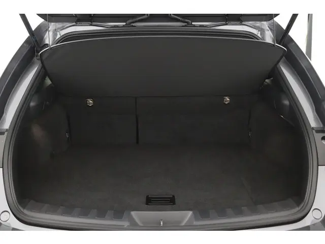 Lexus UX 250h Preference Line 2021 Hybride Benzine 29