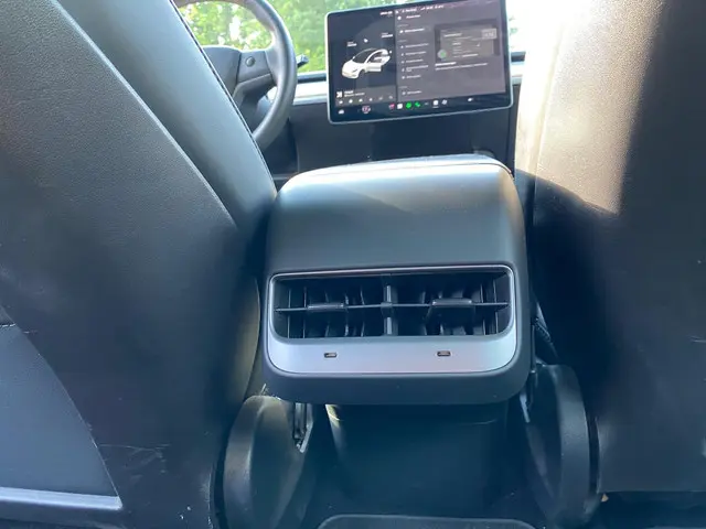 Tesla Model 3 Standard RWD Plus 60 kWh 2020 Elektrisch 11