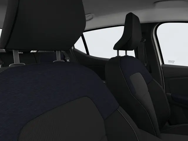 Dacia Sandero Limited Edition 2025 Benzine 15