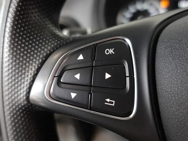 Mercedes-Benz Vito 116 CDI L3 Extra Lang 2021 Diesel 21