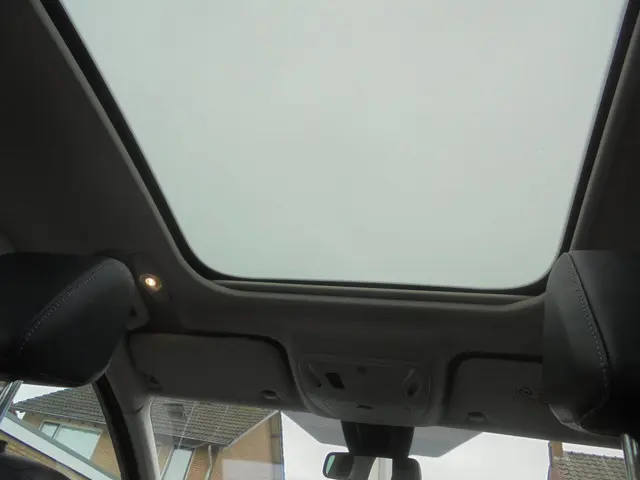 Ford C-MAX 1.0 Edition Plus * apk 6-10-26 * 2014 Benzine 8