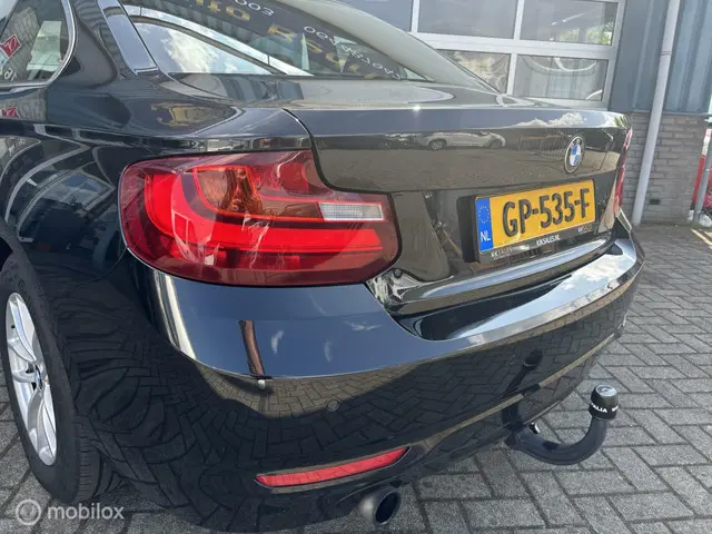 BMW 2 Serie Coupé 218i 2015 Benzine 10