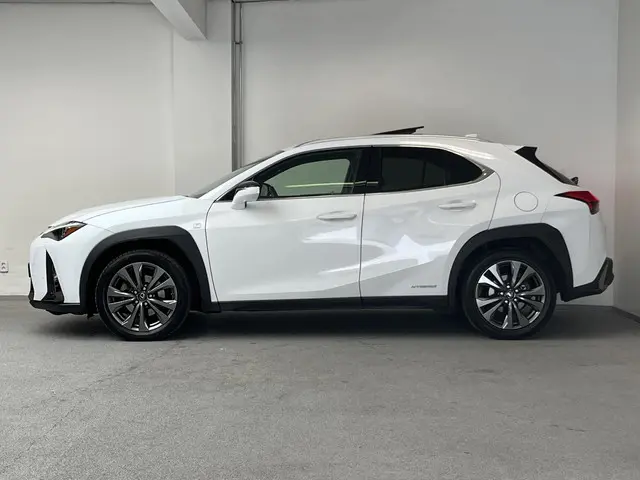 Lexus UX 250h AWD F Sport Premium 2019 Hybride Benzine 11