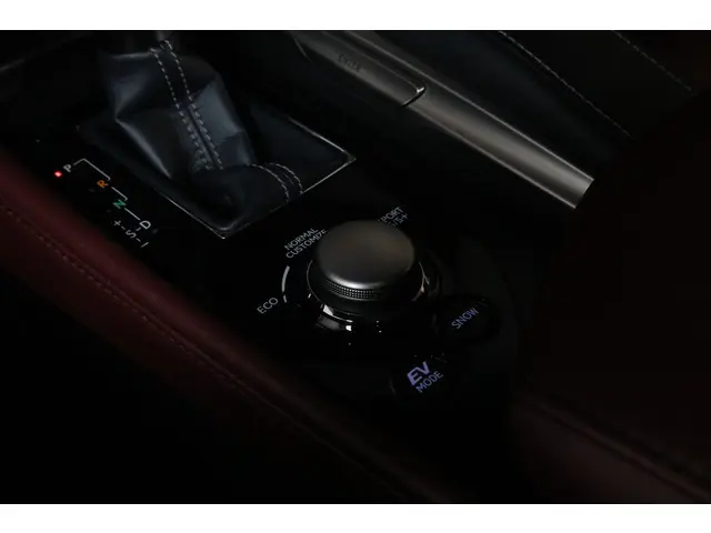 Lexus GS 300h F Sport Line 2017 Hybride Benzine 18