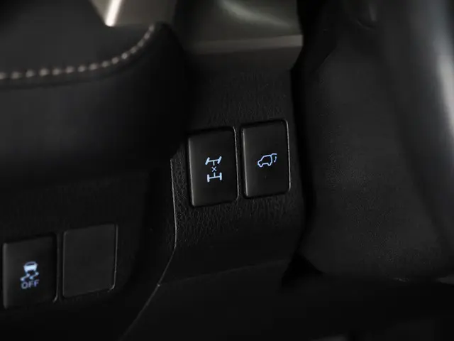 Toyota RAV4 2.0 Executive Business 4WD 2013 Benzine 16