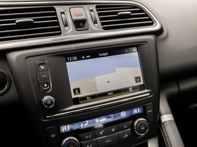 Renault Kadjar 1.2 TCe Bose Sport 2017 Benzine 8