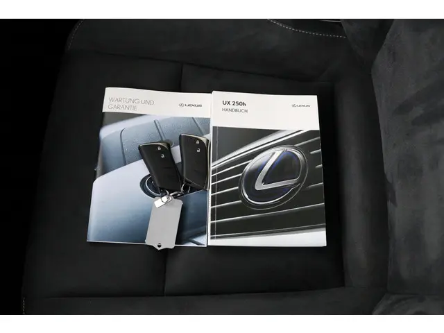 Lexus UX 250h Business Line 2021 Hybride Benzine 11