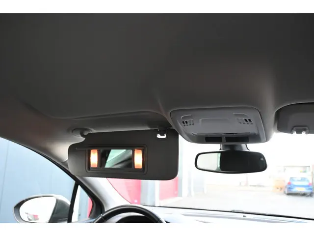 Opel Astra 1.0 Turbo 120 Jaar Edition 2019 Benzine 28