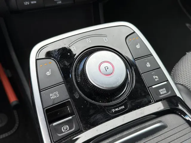 Kia e-Niro Edition 64 kWh 2021 Elektrisch 31