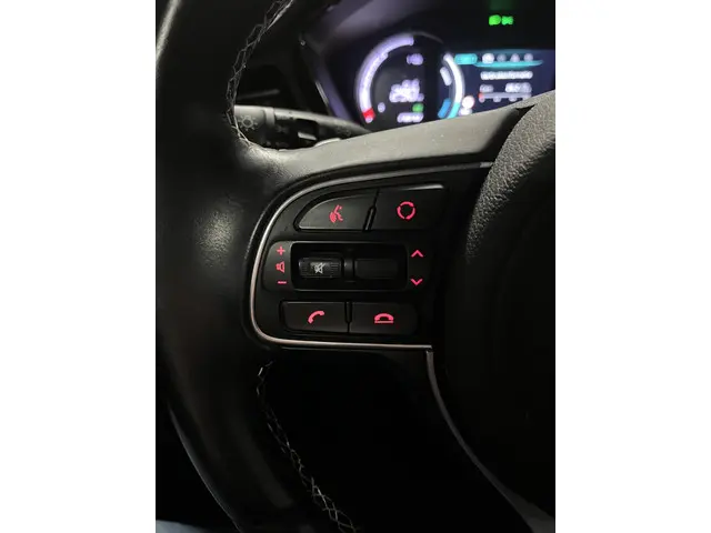 Kia e-Niro ExecutiveLine 64 kWh 2020 Elektrisch 23