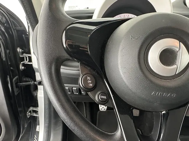 Smart Forfour 1.0 Pure Cool&Audio Pack 2017 Benzine 17