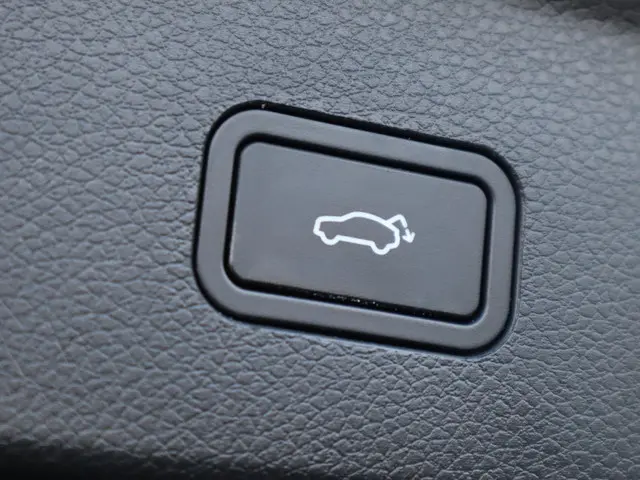 Smart #1 Pro+ 66 kWh 2024 Elektrisch 8