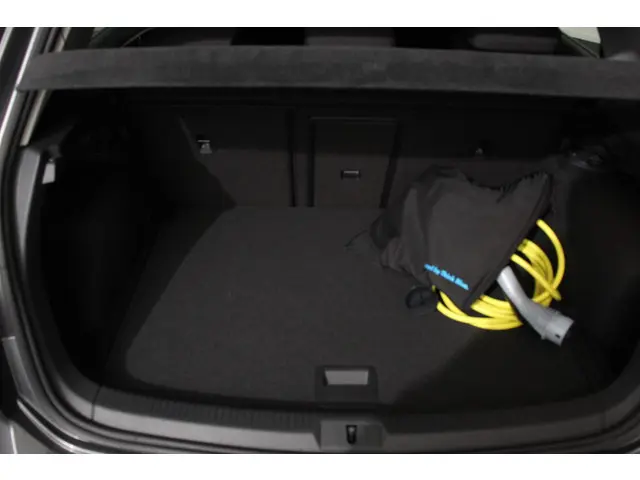 Volkswagen e-Golf e-Golf 2019 Elektrisch 16