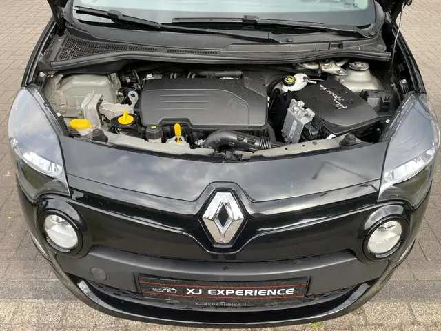 Renault Twingo 1.2 16V Acces OPEN DAK PANO 2013 Benzine 30