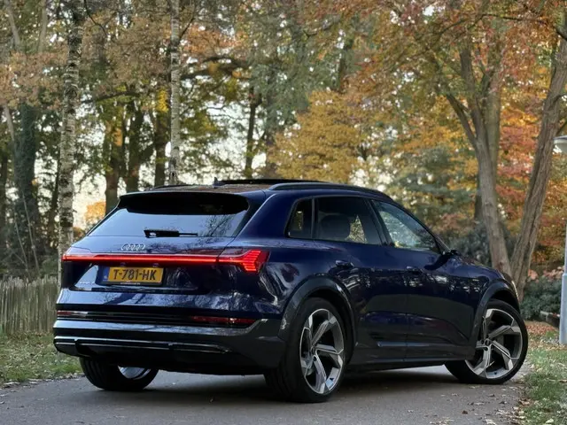 Audi e-tron S quattro 95 kWh 2021 Elektrisch 45