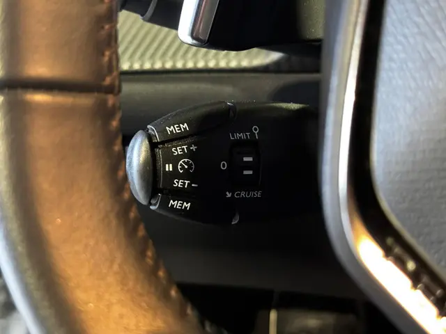 Peugeot 2008 1.2 Blue Lease Active 2021 Benzine 28