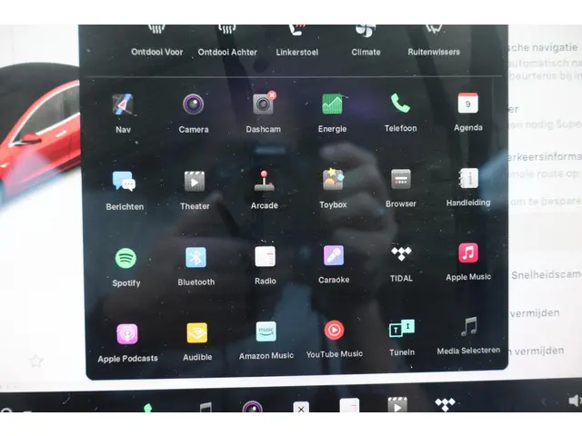 Tesla Model 3 Standard RWD Plus 60 kWh 2020 Elektrisch 46