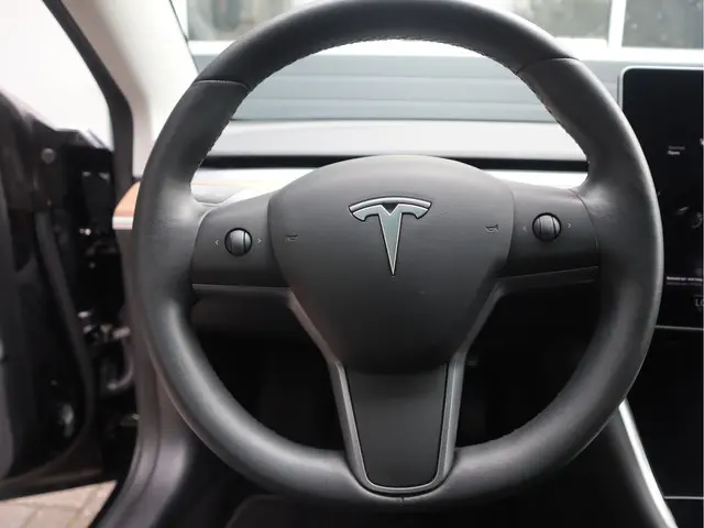 Tesla Model 3 Standard RWD Plus 60 kWh 2020 Elektrisch 22