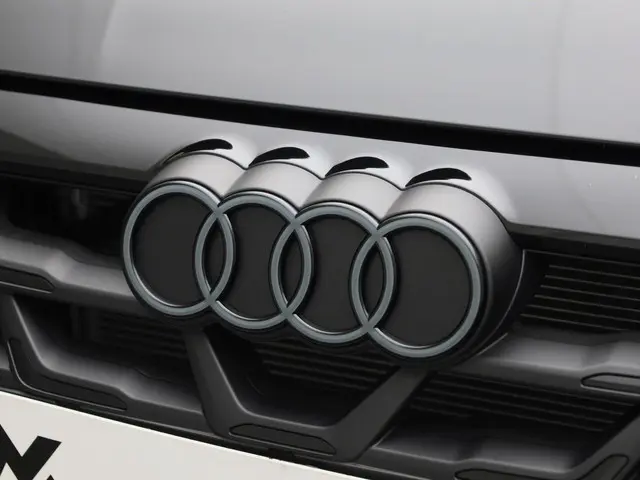 Audi S3 Sportback 2.0 TSFI/333PK S3 quattro 2024 Benzine 35