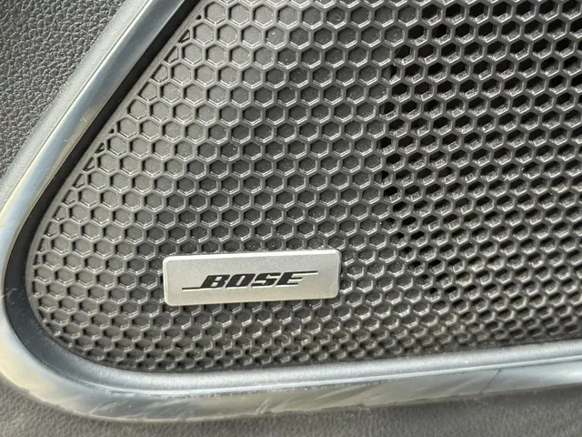 Renault Kadjar 1.3 TCe Bose 2020 Benzine 32