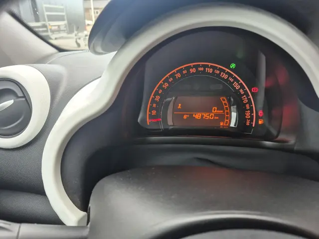 Renault Twingo 1.0 SCe Collection 2019 Benzine 13