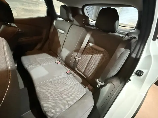 Renault Kadjar | 1.2 TCe Intens | 2017 Benzine 19