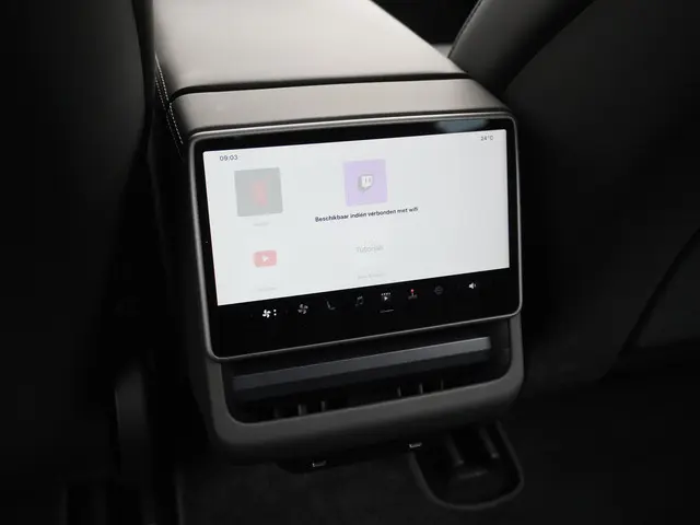 Tesla Model 3 RWD 60 kWh 2024 Elektrisch 25