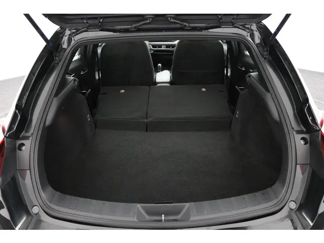 Lexus UX 300e Business 54 kWh 2020 Elektrisch 24