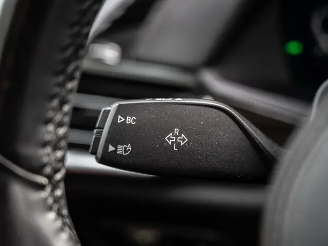 BMW X5 xDrive45e High Executive 2020 Hybride Benzine 31