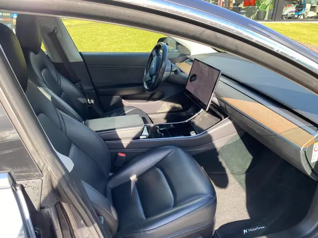 Tesla Model 3 Long Range AWD 75 kWh 2019 Elektrisch 24