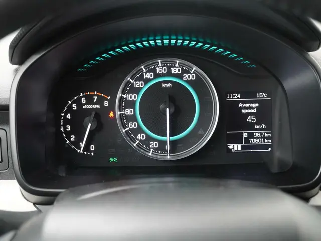 Suzuki Ignis 1.2 Smart Hybrid Stijl 2019 Benzine 13