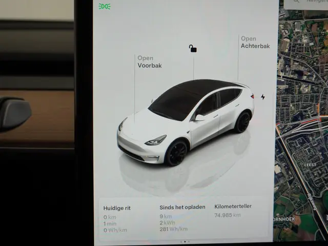 Tesla Model Y Performance AWD 75 kWh 2022 Elektrisch 31