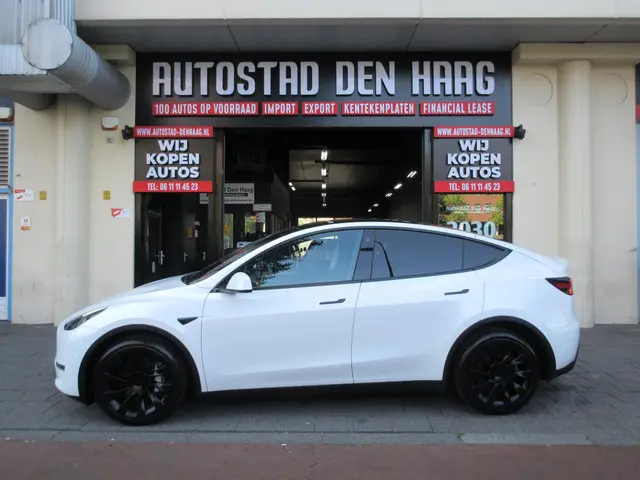 Tesla Model Y Long Range AWD 75 kWh 2022 Elektrisch 5