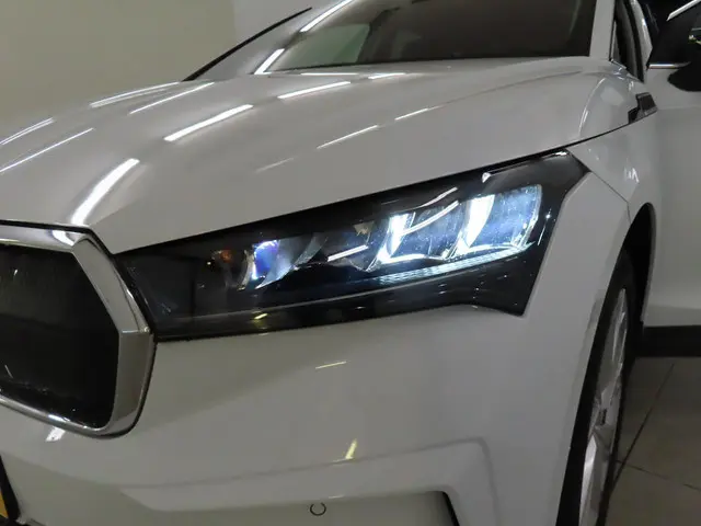 Škoda Enyaq iV 80 2021 Elektrisch 3