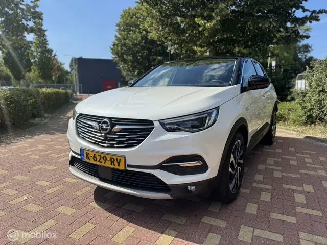 Opel Grandland X 1.2 Turbo Ultimate / Bomvol 2018 Benzine 9