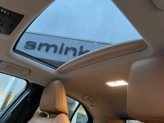 Lexus UX 300e Executive 54 kWh 2020 Elektrisch 8