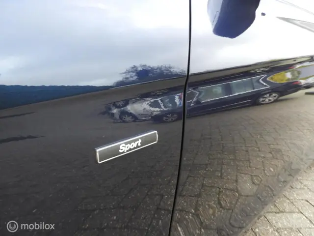 BMW 3 Serie 316i Executive Sport 2013 Benzine 4