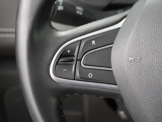 Renault Scénic 1.2 TCe Bose 2017 Benzine 15