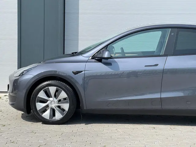 Tesla Model Y Long Range AWD 75 kWh 2021 Elektrisch 7