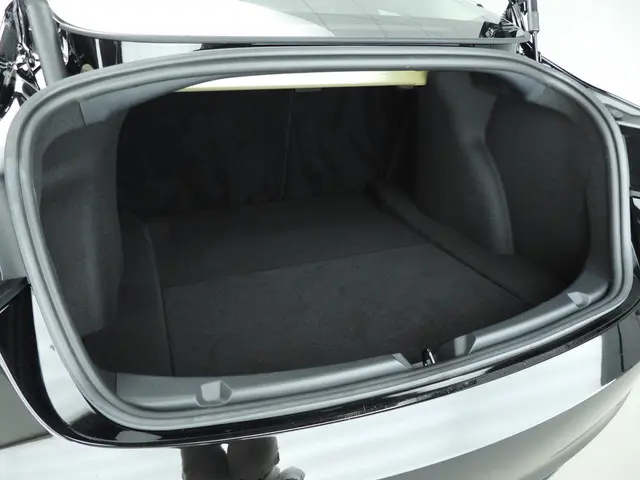 Tesla Model 3 Standard RWD Plus 60 kWh 2023 Elektrisch 10