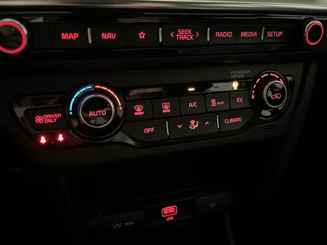 Kia e-Niro DynamicLine 64 kWh 2021 Elektrisch 11