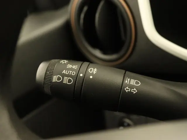 Dacia Spring Extreme 65 26.8 kWh 2025 Elektrisch 19