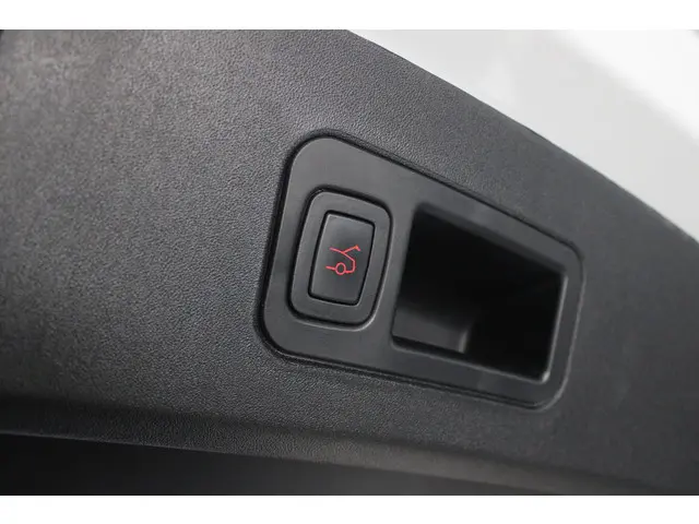 Tesla Model S 100D 2018 Elektrisch 25