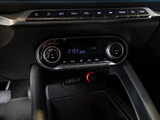 Seres 3 52kWh / 163pk / Panorama dak / Leder / 2021 Elektrisch 31