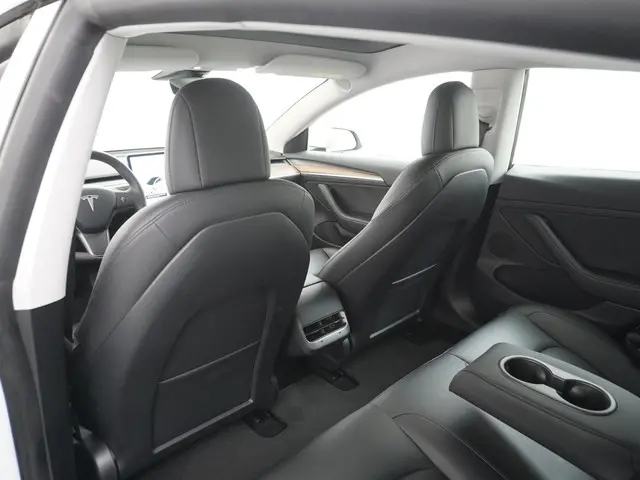 Tesla Model 3 Standard RWD Plus 60 kWh 2021 Elektrisch 21
