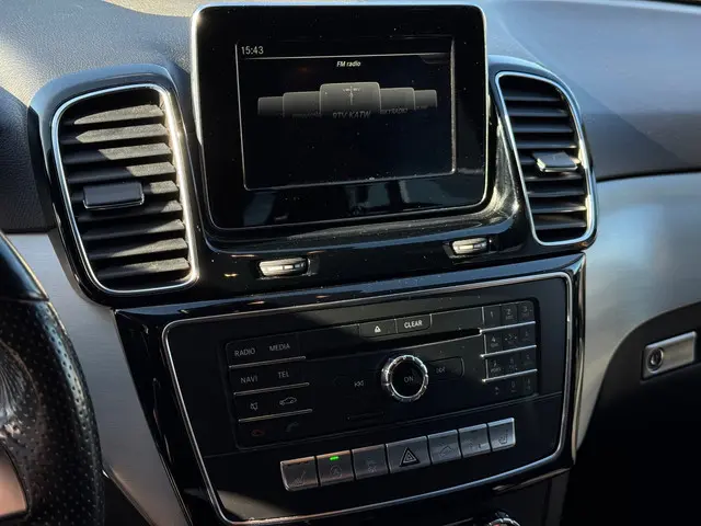 Mercedes-Benz GLE 250 d 4MATIC 2015 Diesel 17